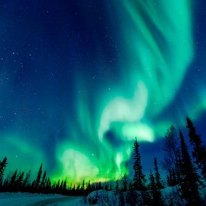 Paseo de auroras boreales en Yellowknife – Northwest Territories.
