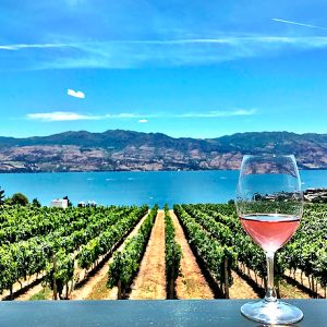 Tour por las viñas de vino en Kelowna.